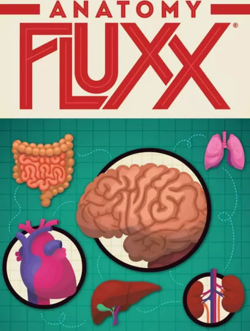 Anatomy Fluxx