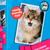 Cats Doing Things Meme Game