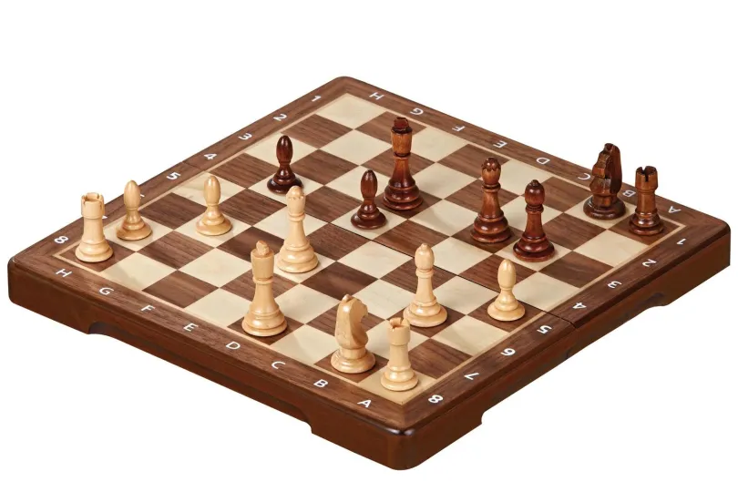 Chess cassette, field 25 mm, with numbers and letters (2724)