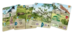 Forest Shuffle: Woodland Edge