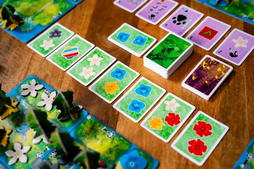 HUTAN: Life in the Rainforest (Nordisk Utgåva)