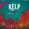 Kelp Shark vs Octopus