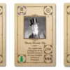 Obsession Characters Expansion