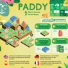 Paddy