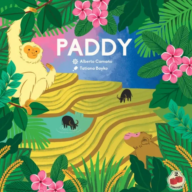 Paddy