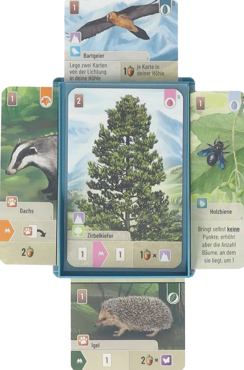 5 pcs set Feldherr card tray for Forest Shuffle - Tree Cards