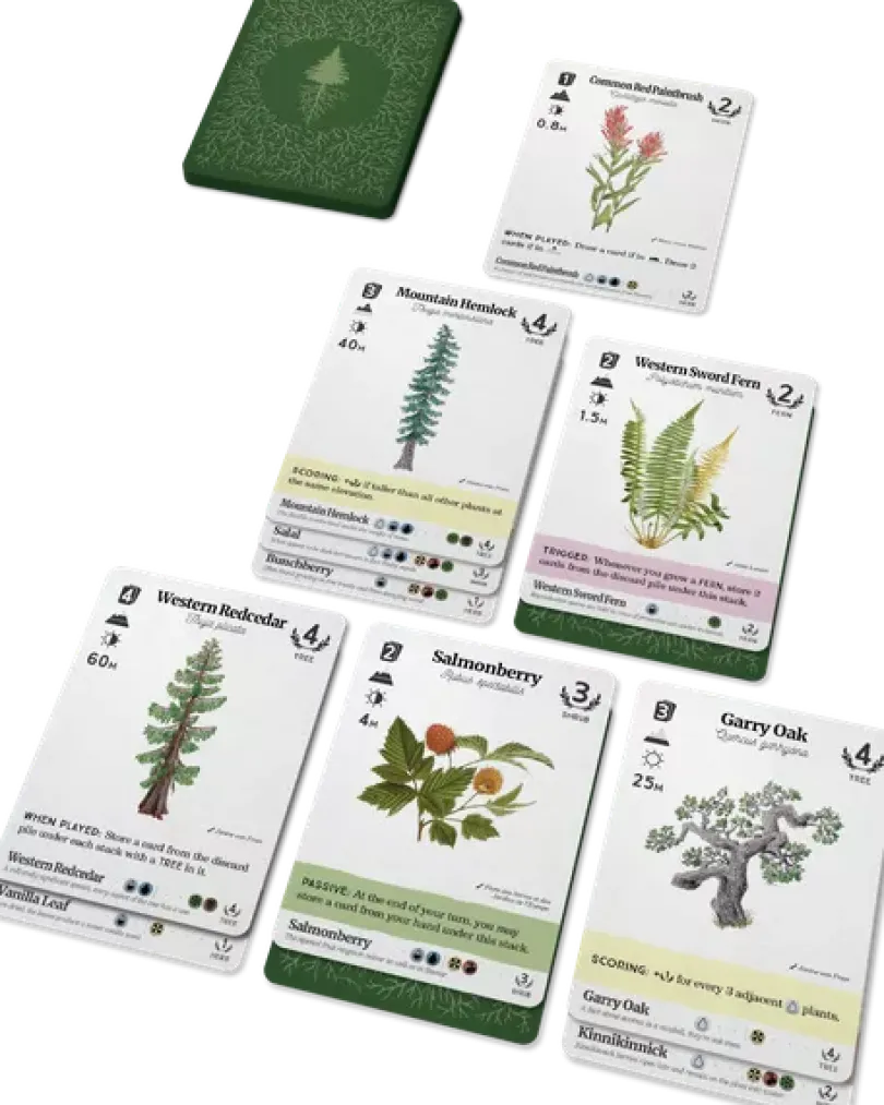 Reforest: Plants of the Pacific Northwest Coast