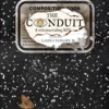 The Conduit Solo RPG