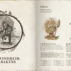 Windheim Varldsbok Ett Tredjepartssupplement Till Drakar Och Demoner